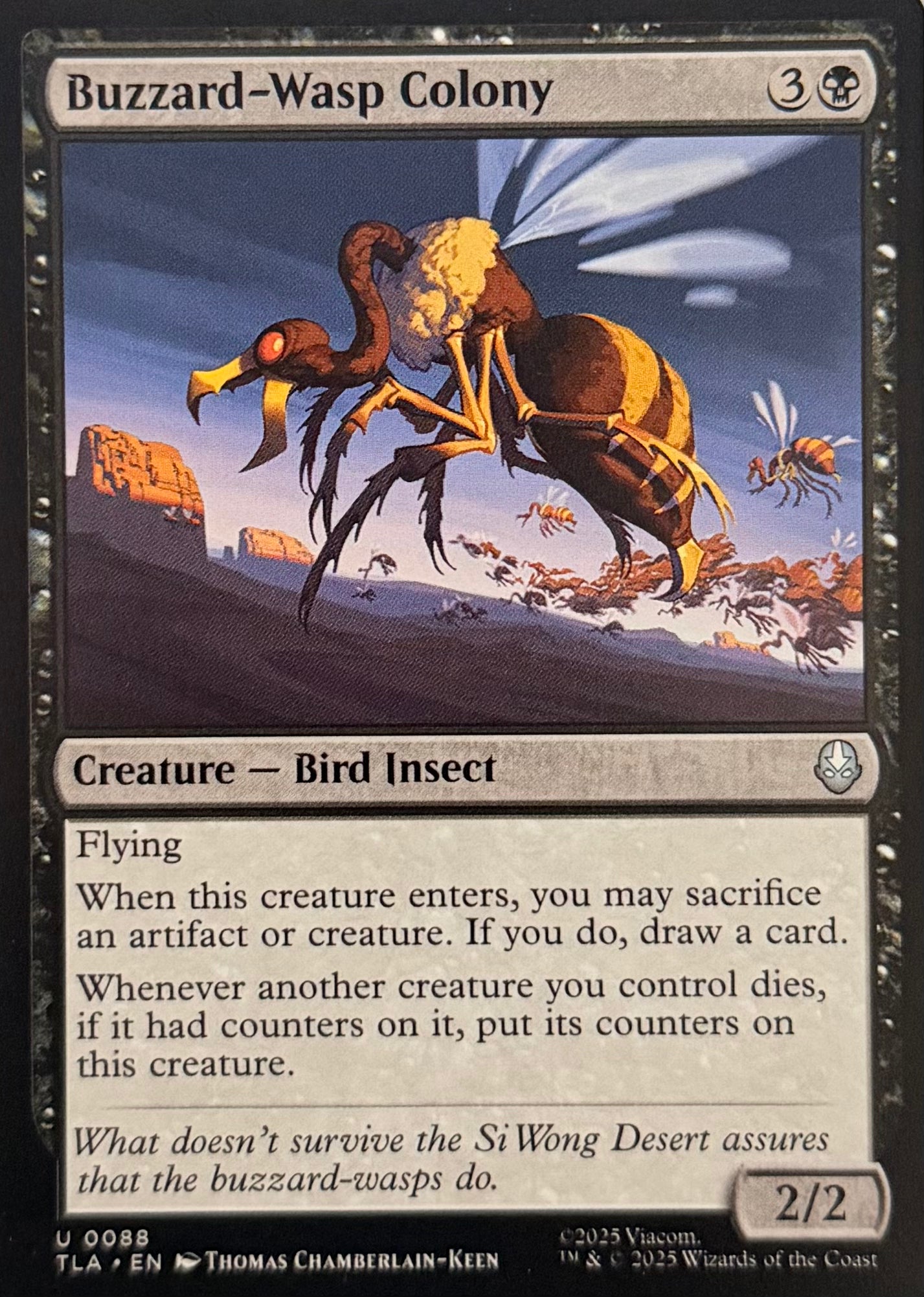 Magic Buzzard-Wasp Colony 0088