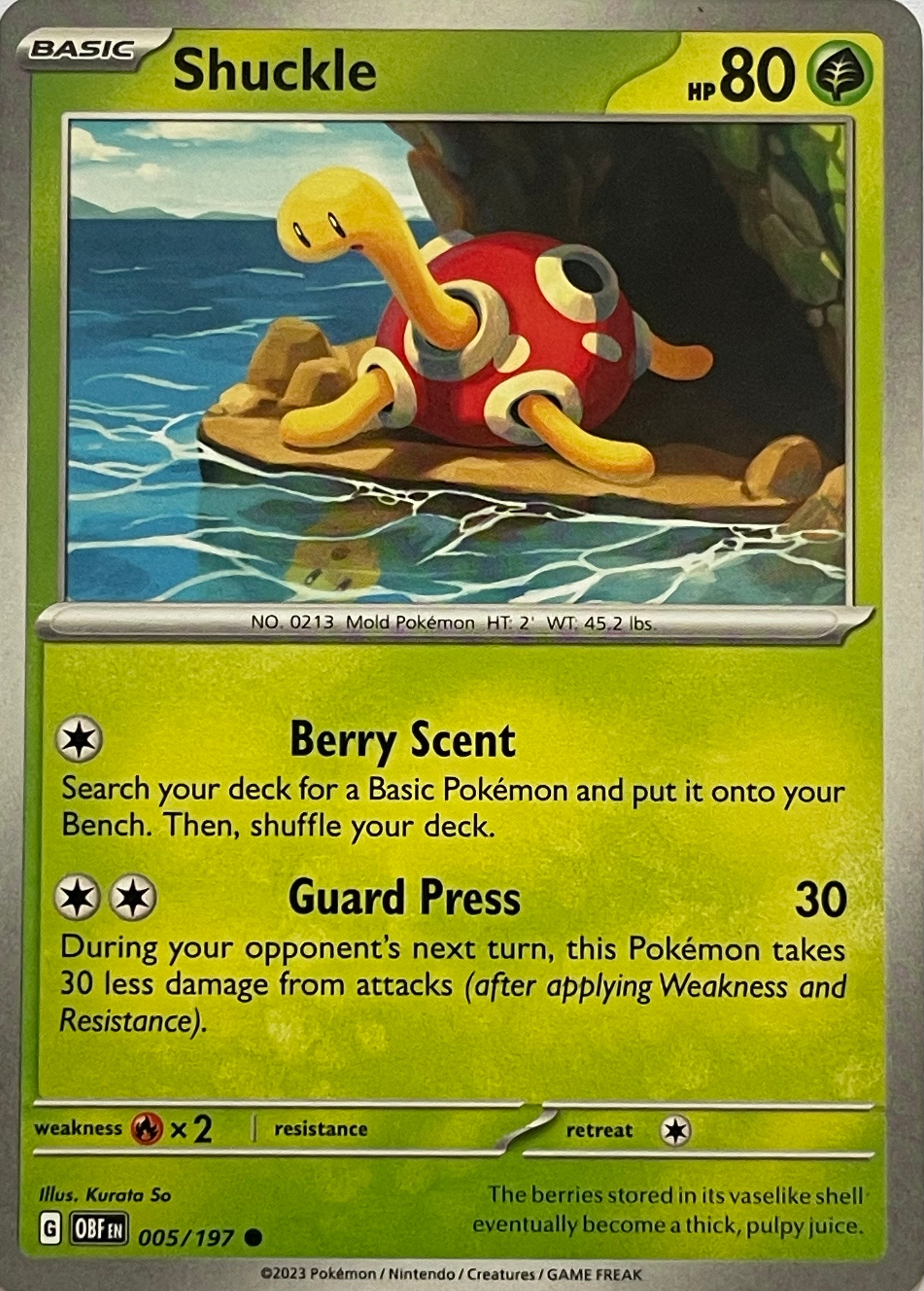 Pokemon Tcg Shuckle 005/197