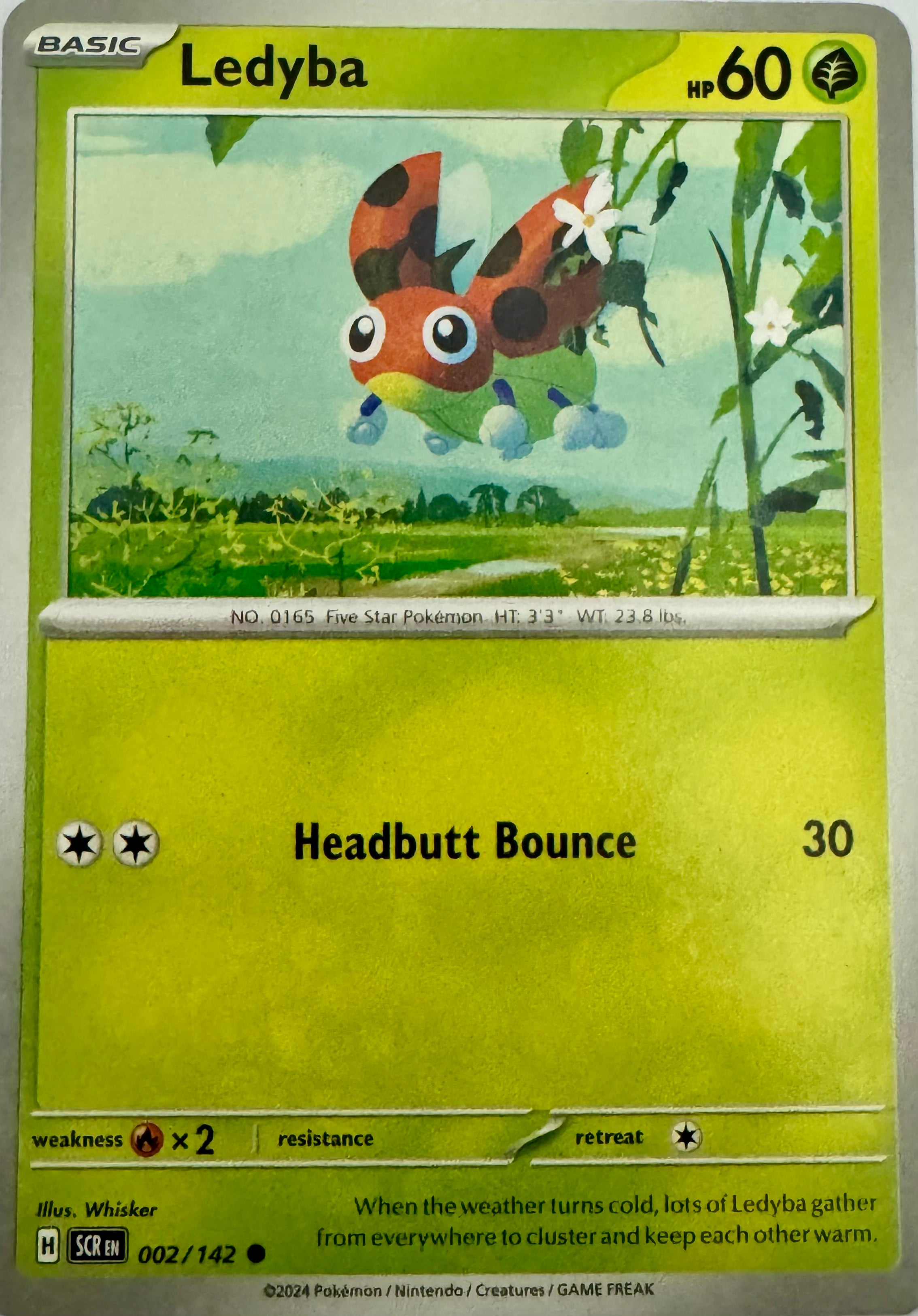 Pokémon Tcg Ledyba 002/142