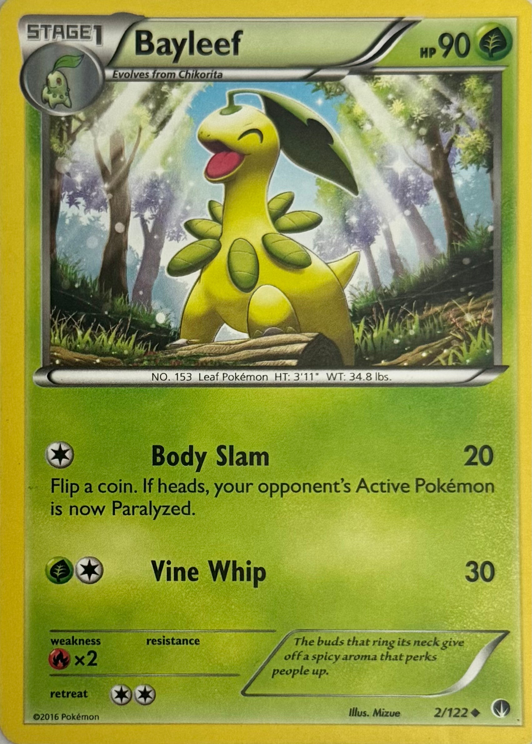 Pokemon Tcg Bayleef 2/122
