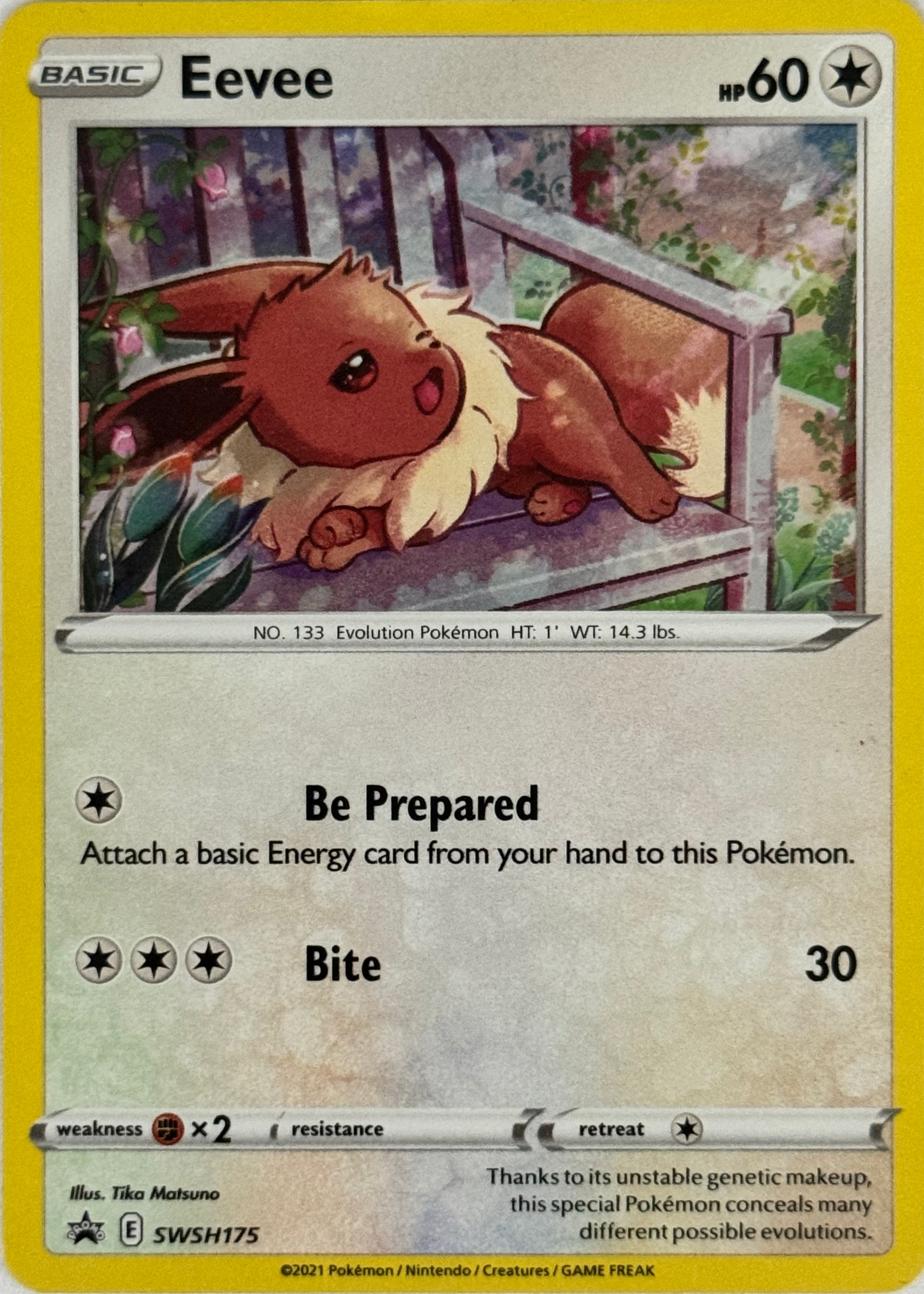 Pokemon Tcg Eevee SWSH175 Promo