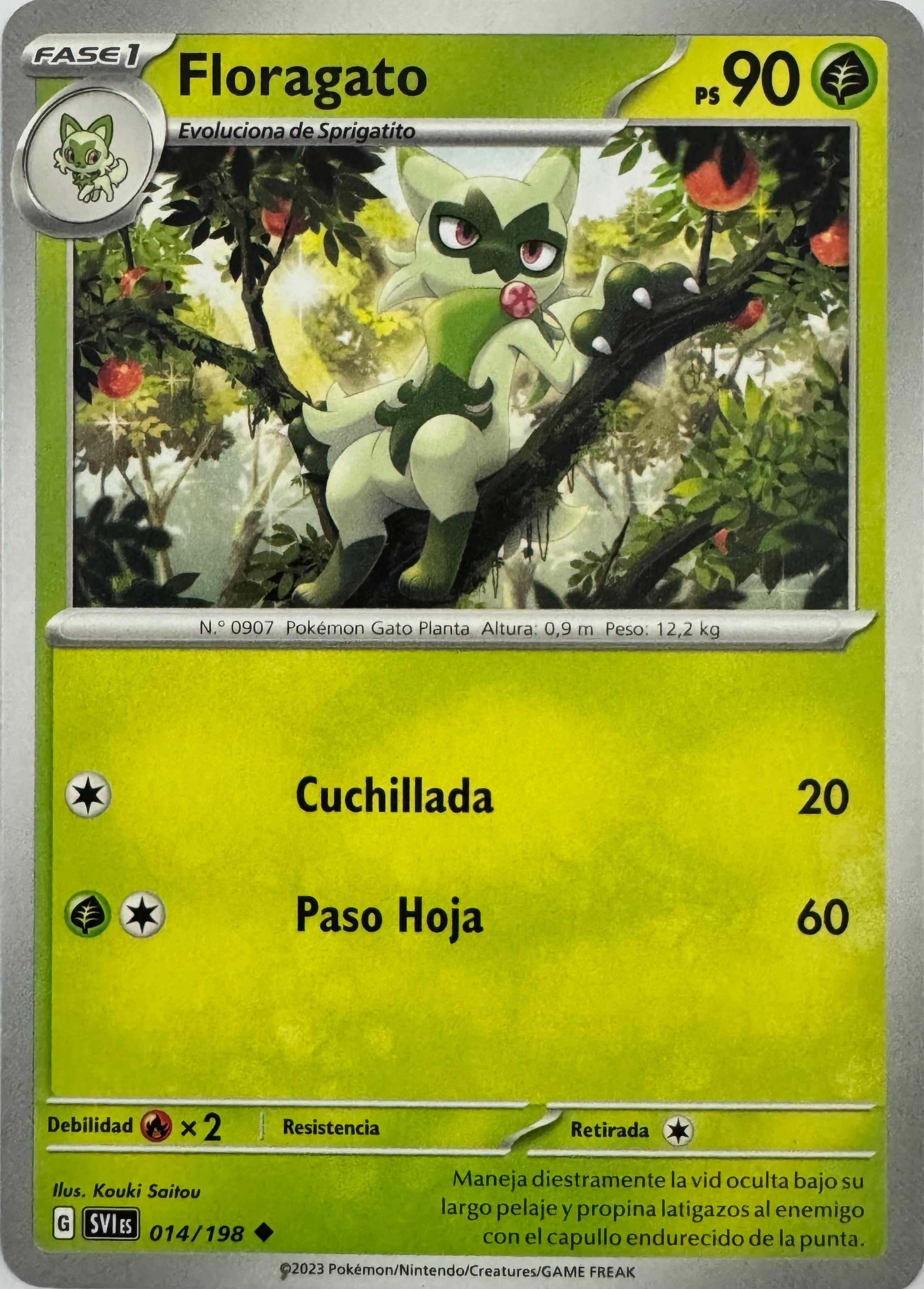 Pokemon Tcg Floragato 014/198 (Español)