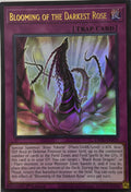 Yugioh! Blooming of the Darkest Rose L5DD-ENA25 Ultra 1st Edition