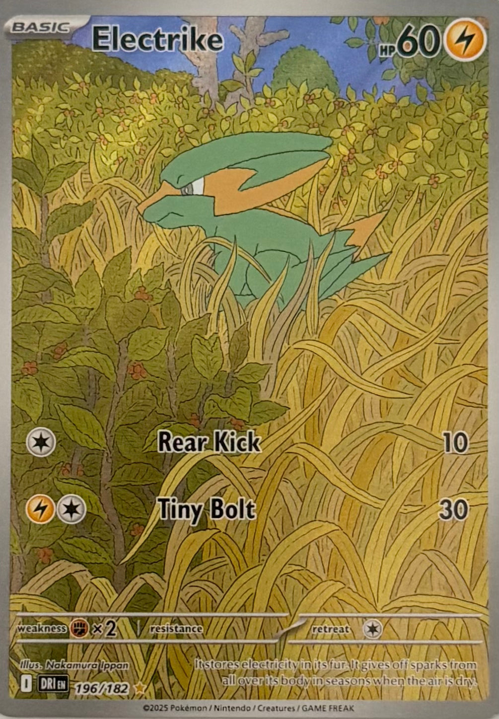 Pokémon Tcg Electrike 196/182