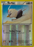 Pokemon Tcg Rufflet 92/114 Reverse