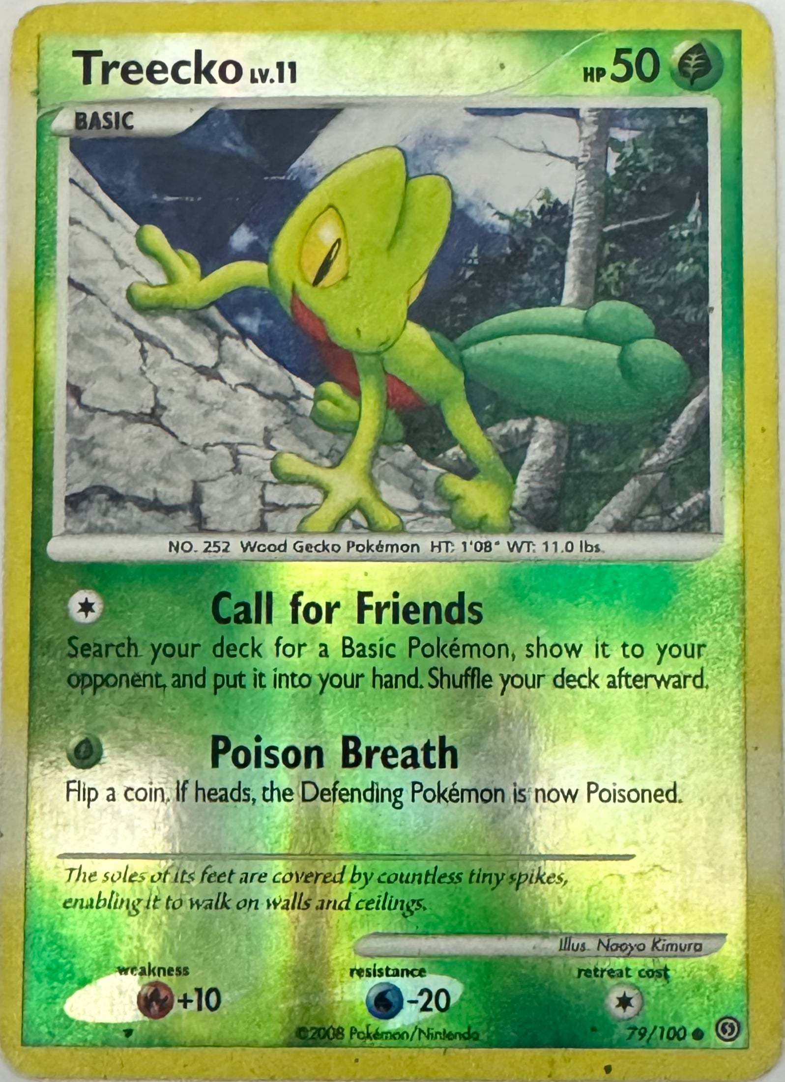 Pokémon tcg Treecko 79/100 reverse