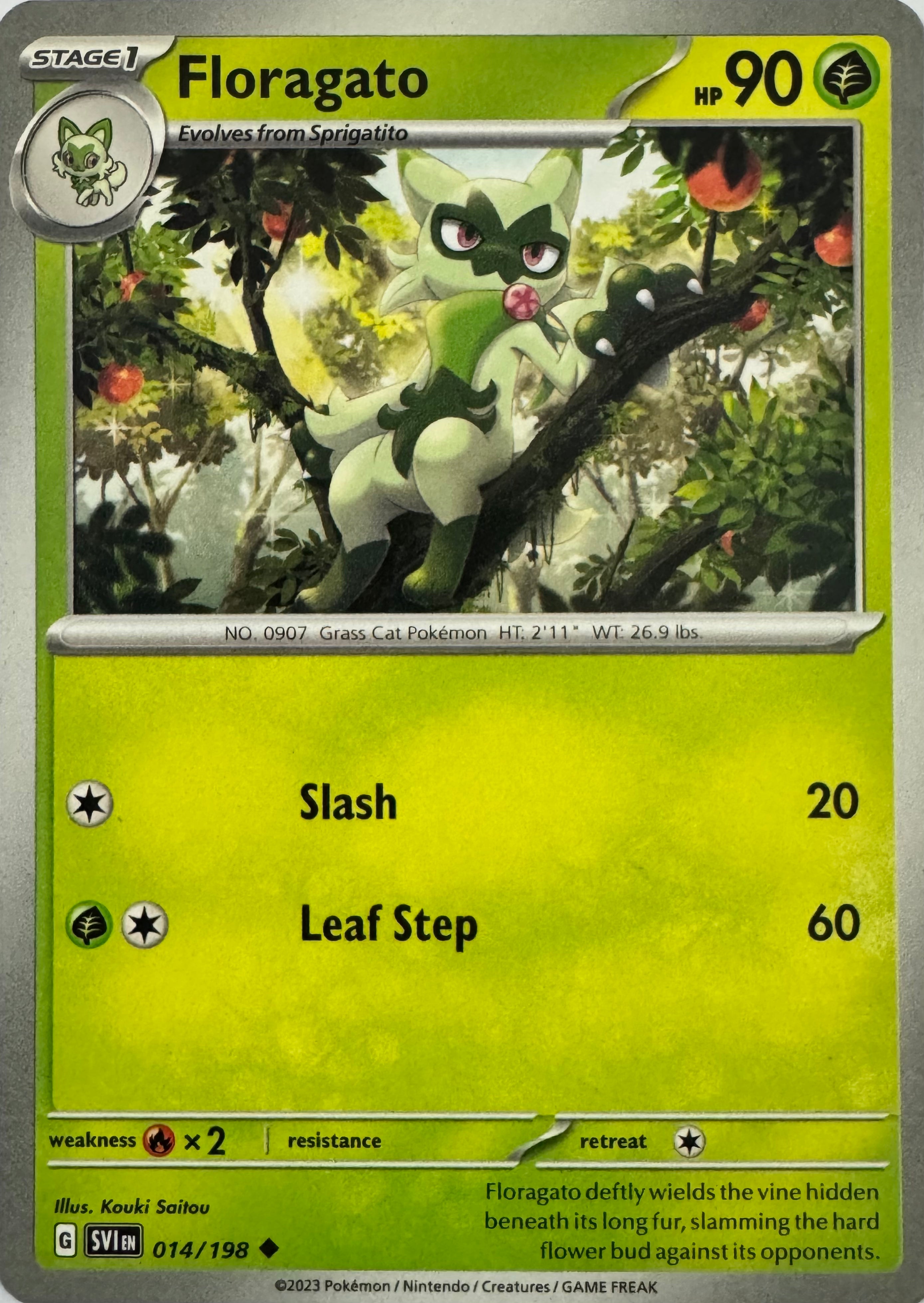 Pokemon Tcg Floragato 014/198
