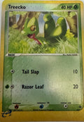 Pokémon tcg Treecko 003 reverse