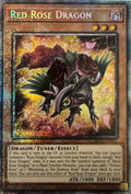 Yugioh! Red Rose Dragon Mp25-en037 1st Edition Starlight