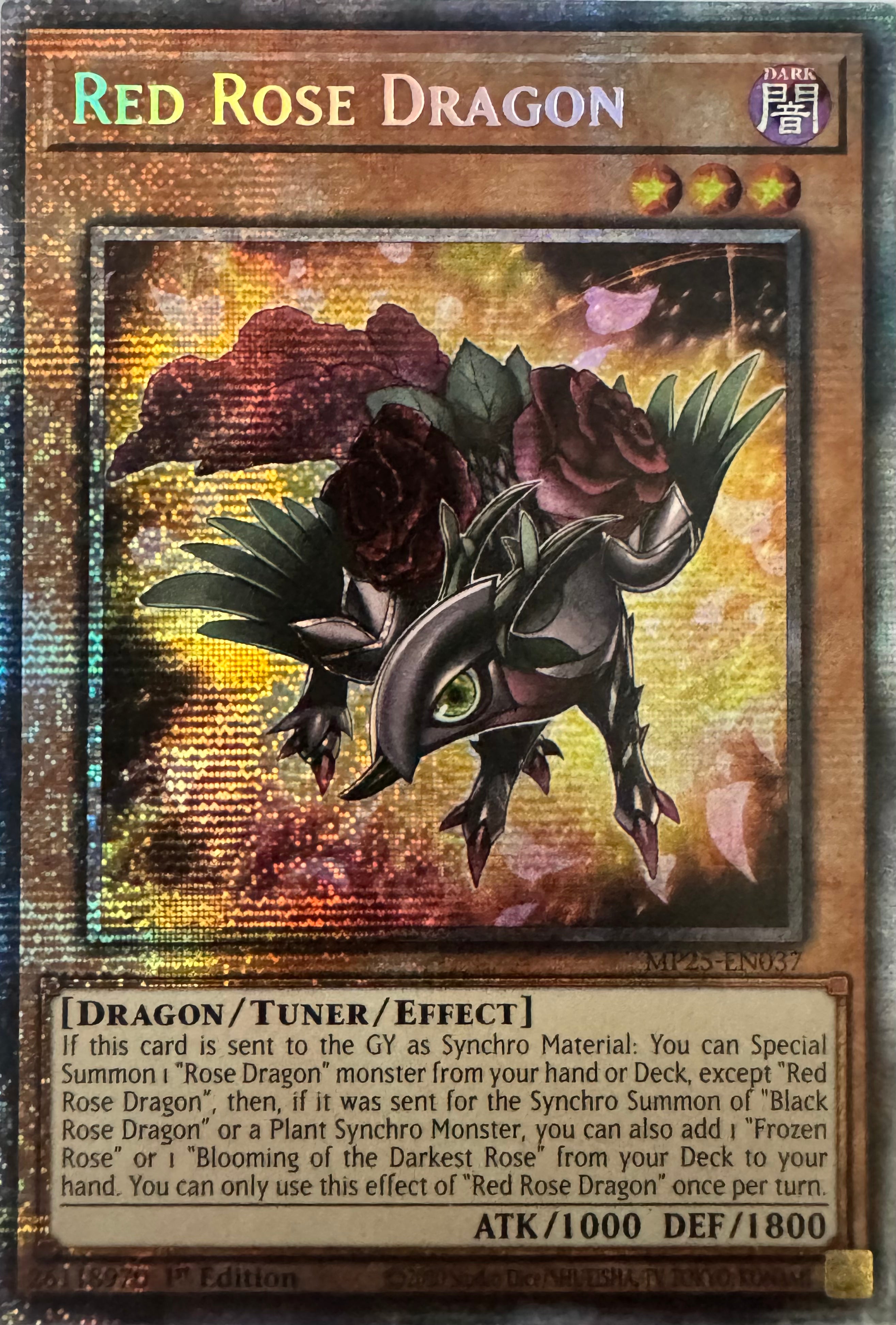 Yugioh! Red Rose Dragon Mp25-en037 1st Edition Starlight