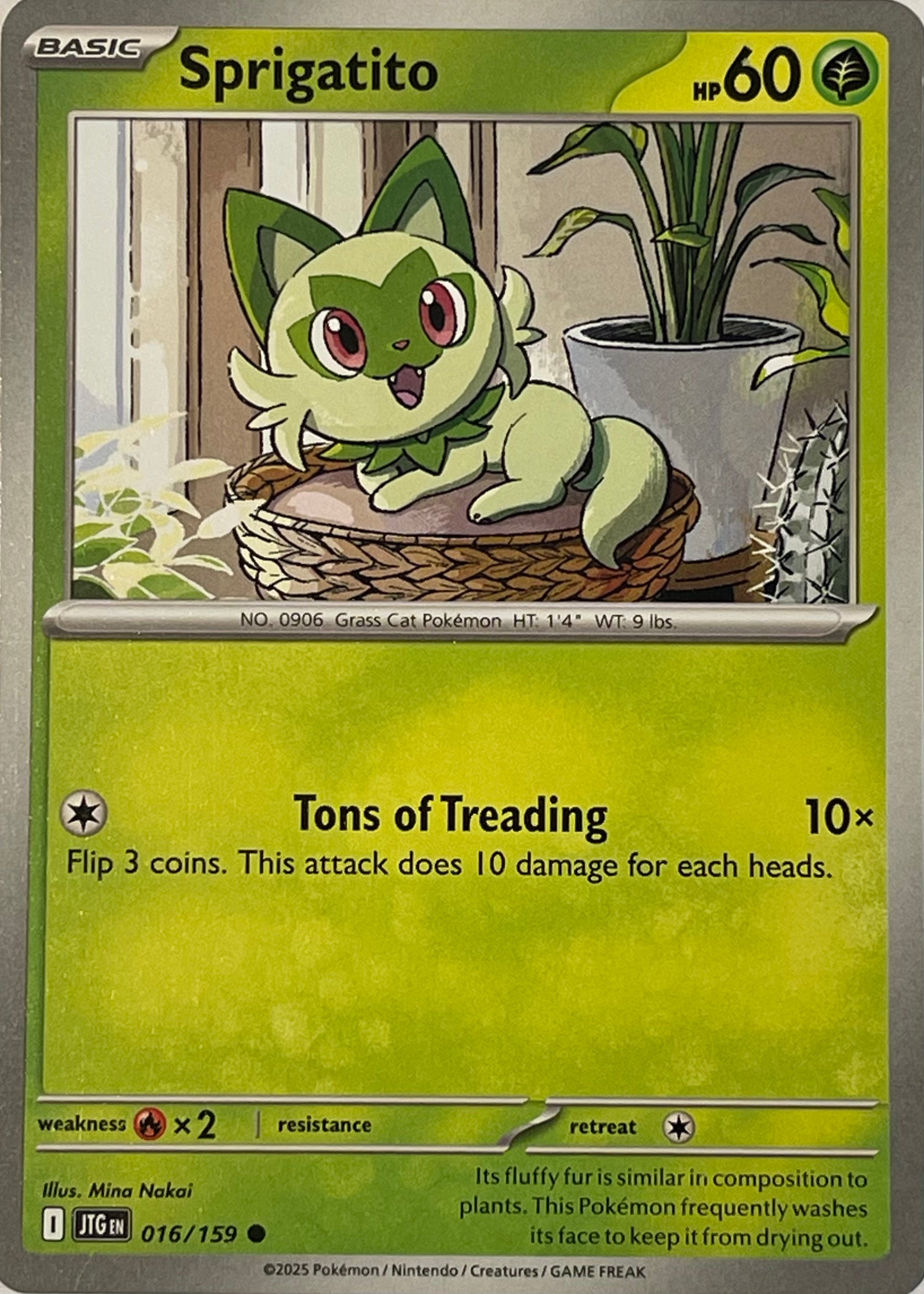 Pokemon Tcg Sprigatito 016/159