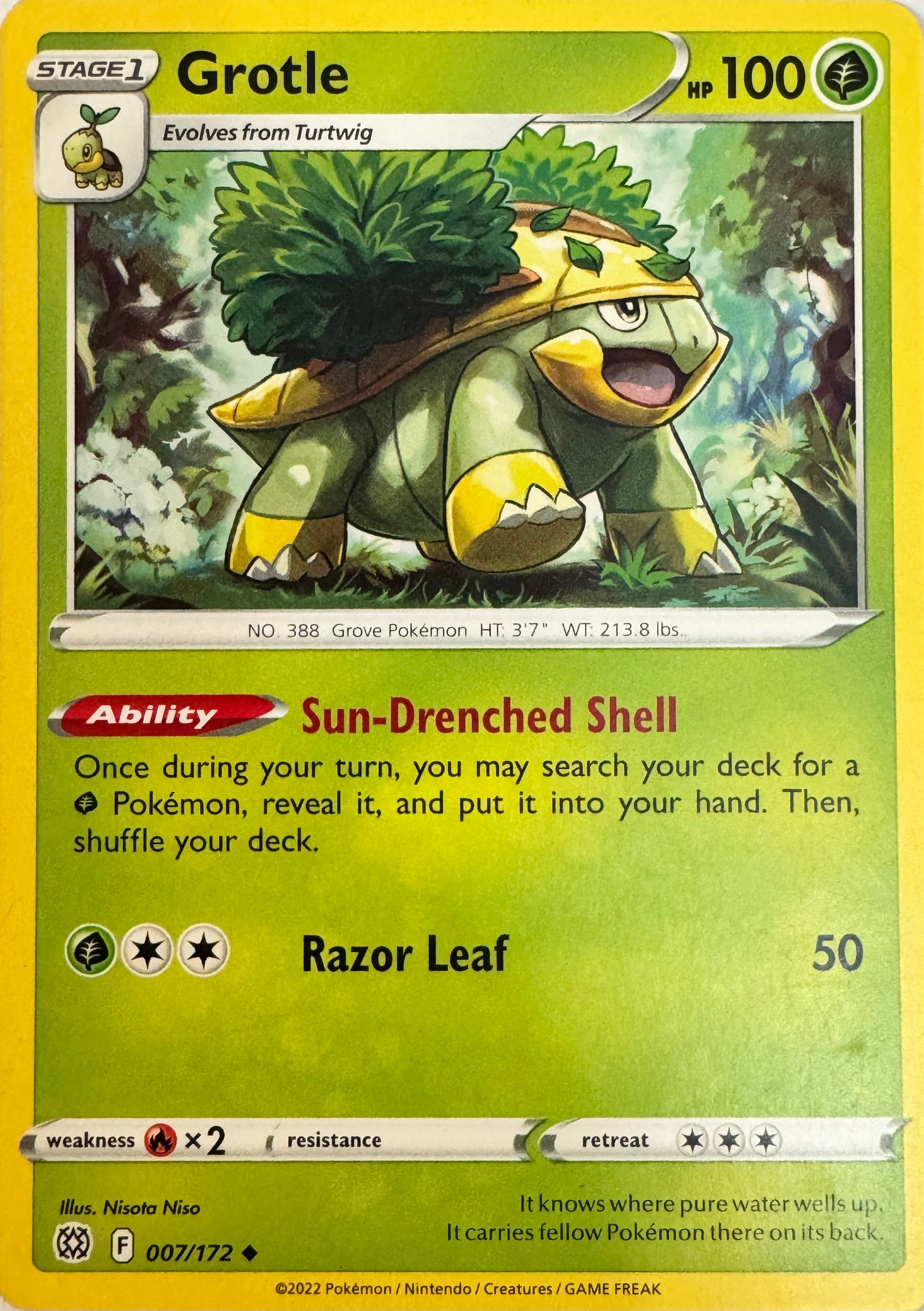 Pokemon Tcg Grotle 007/172