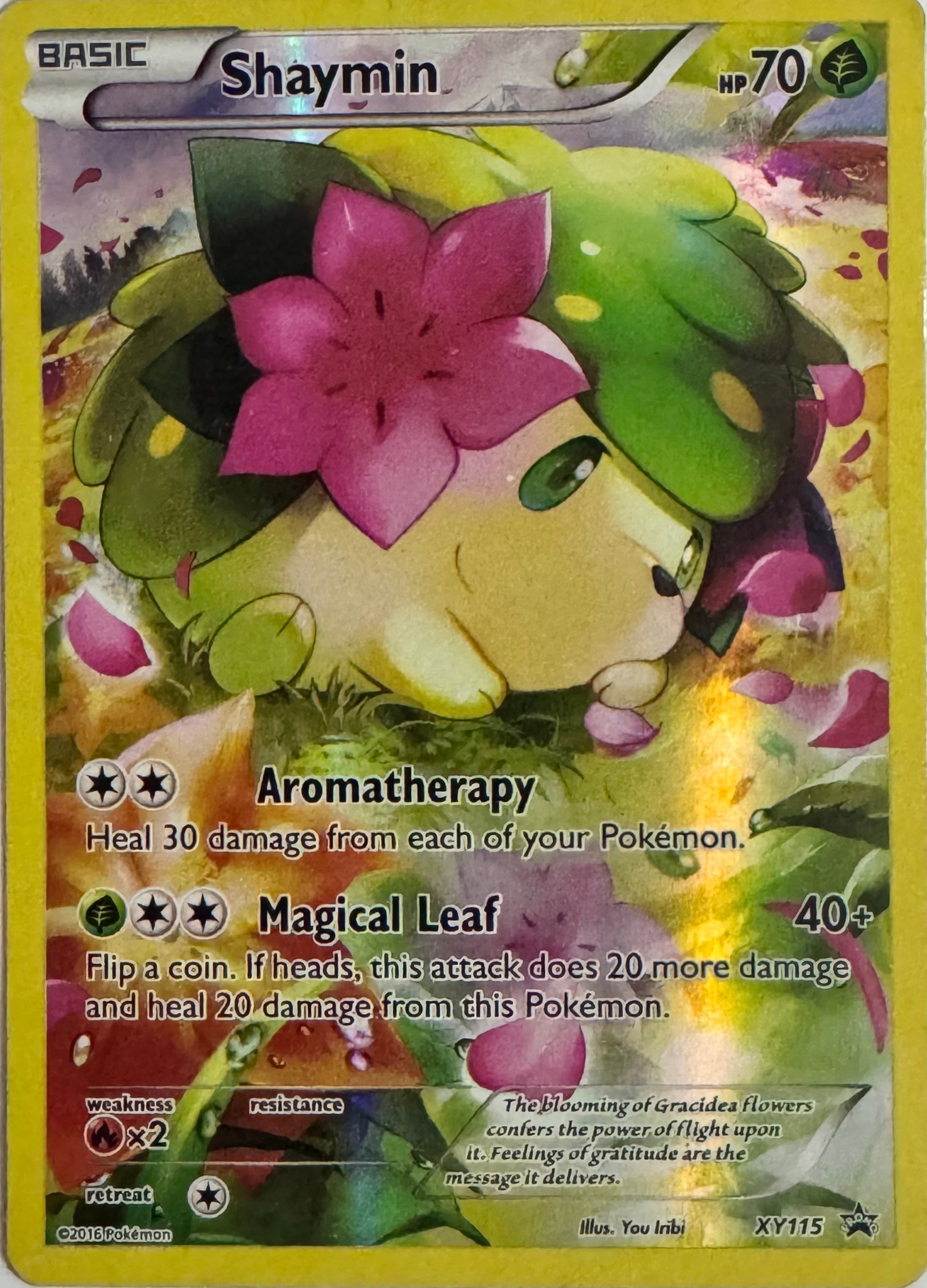 Pokemon Tcg Shaymin Xy115