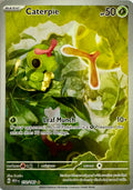 Pokémon Tcg Caterpie 172/165