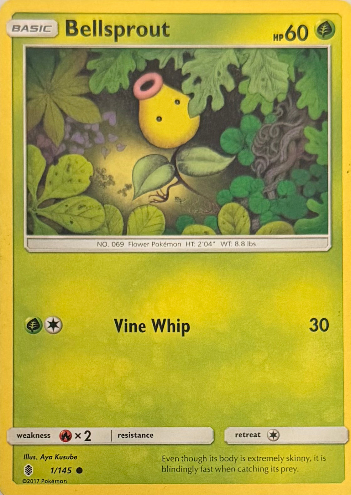 Pokemon Tcg Bellsprout 1/145