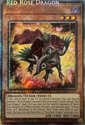 Yugioh! Red Rose Dragon Mp25-en037 1st Edition Starlight (Missprint)