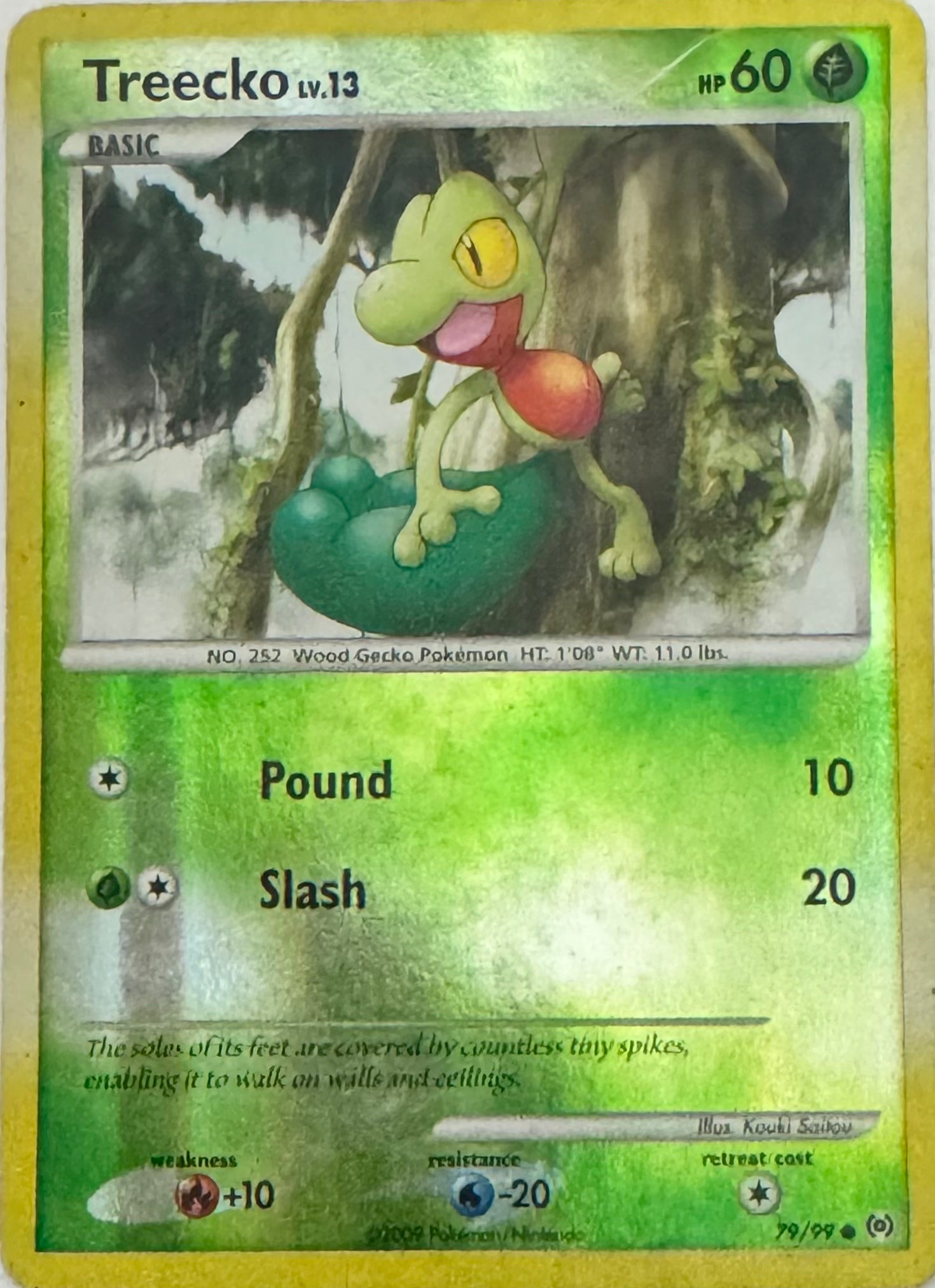 Pokémon tcg  Treecko 79/99 reverse