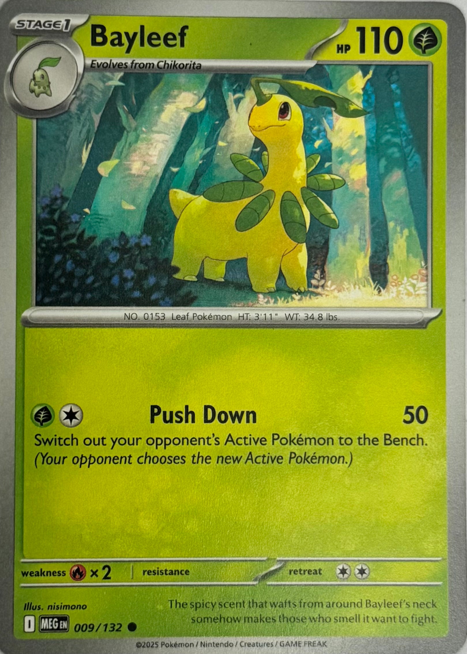 Pokemon Tcg Bayleef 009/132
