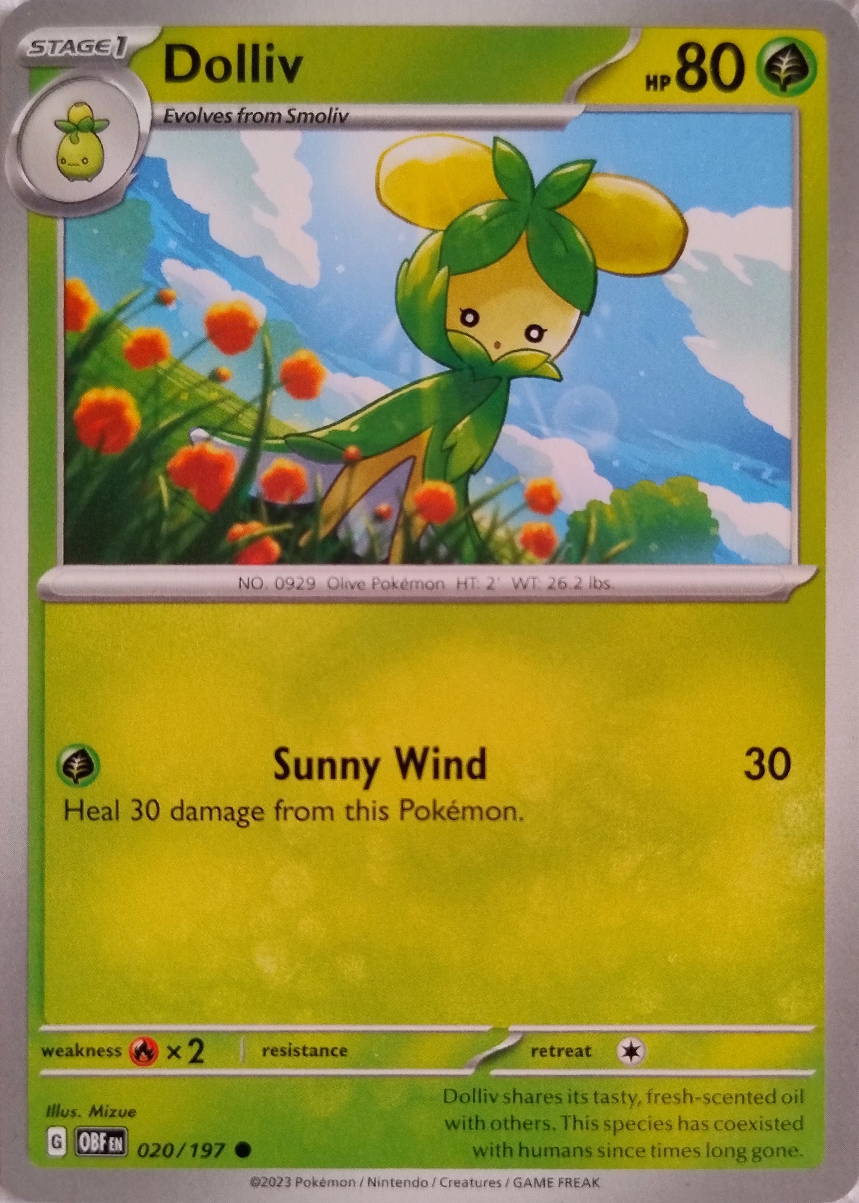Pokemon Tcg Dolliv 020/197
