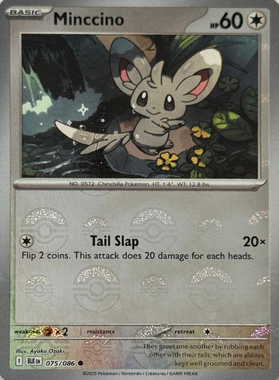 Pokémon Tcg Minccino 075/086 (Poke Ball)