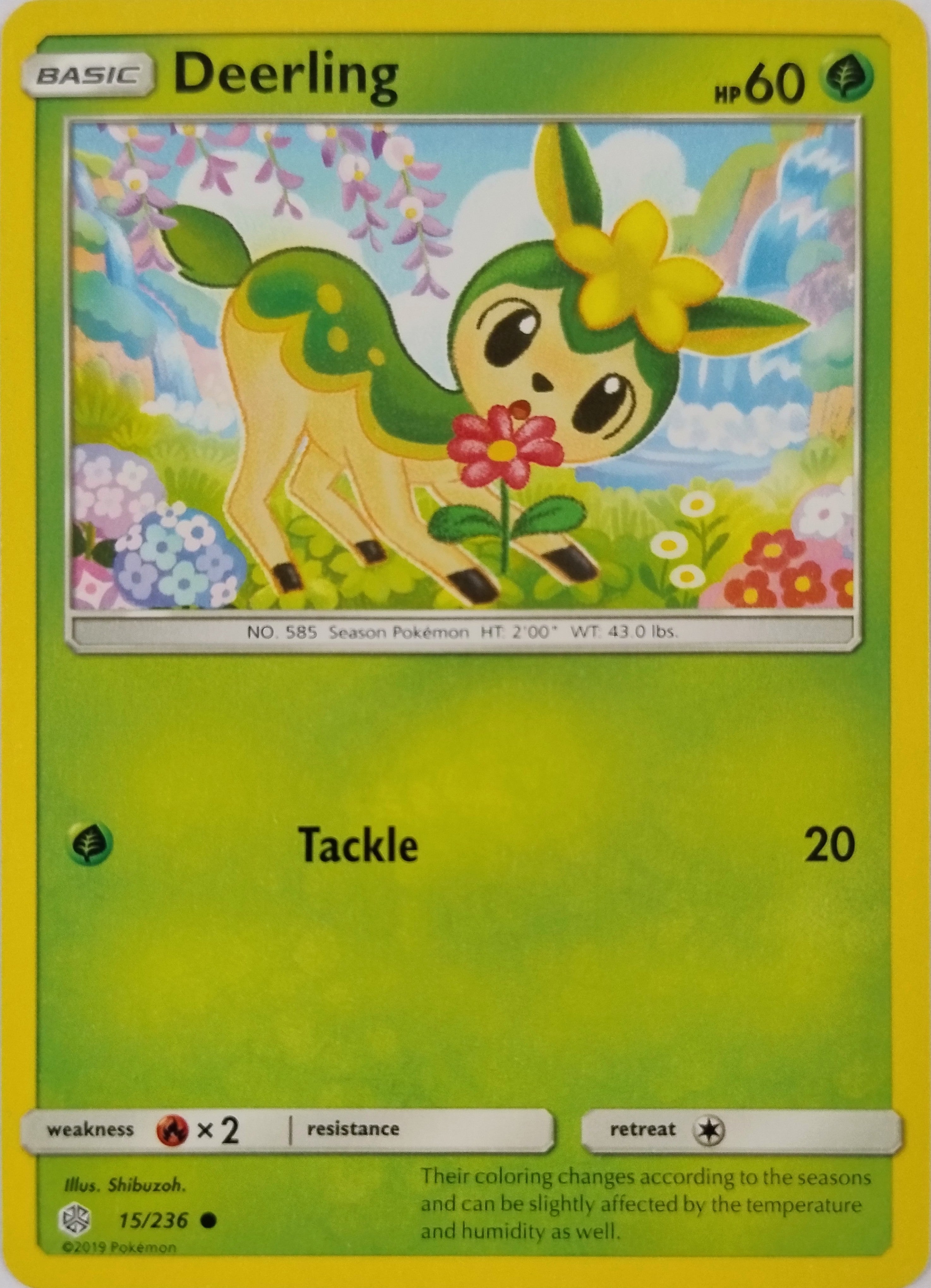 Pokémon Tcg Deerling 15/236