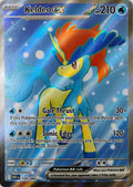 Pokémon tcg Keldeo Ex 159/086 Full art
