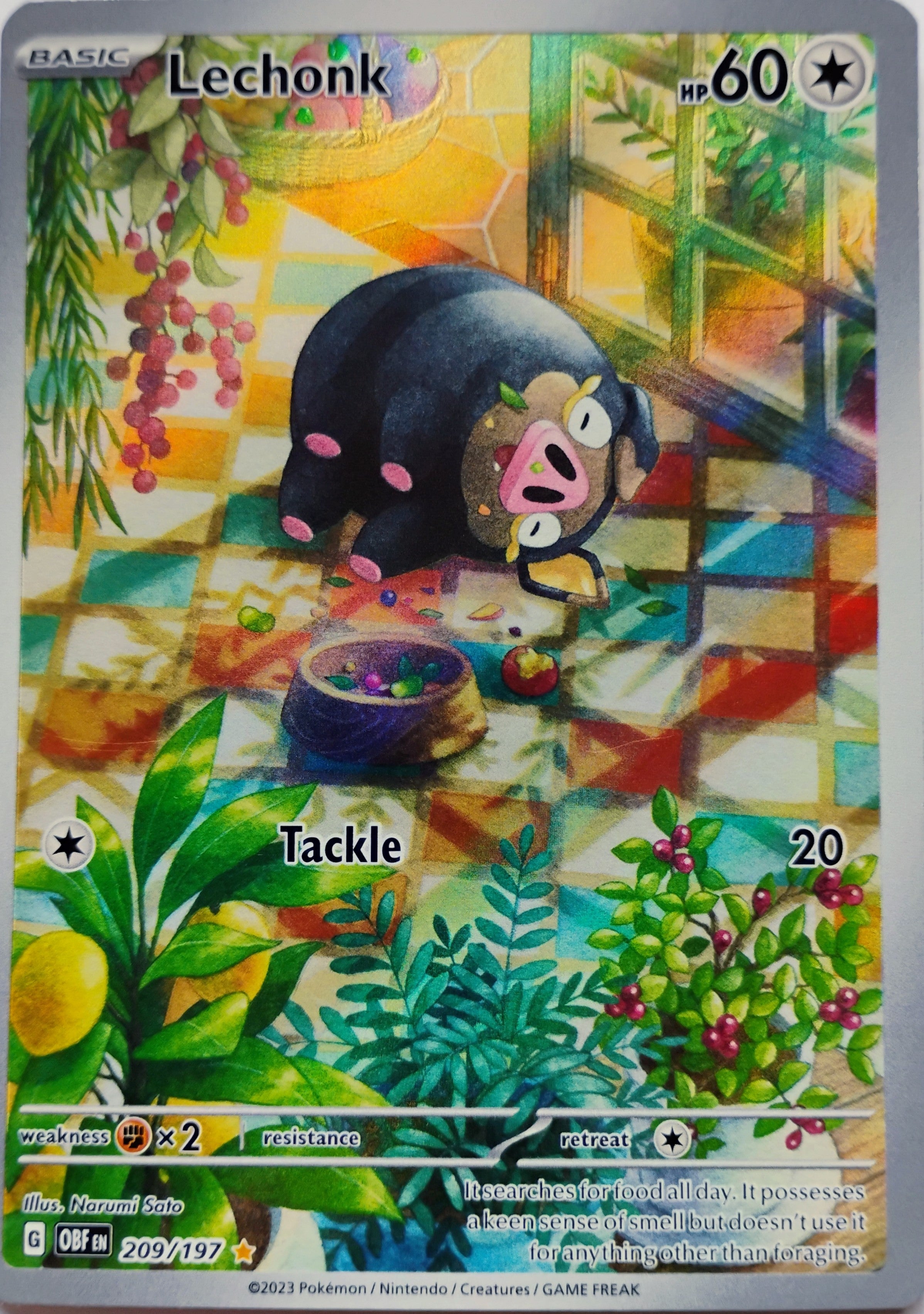 Pokémon tcg Lechonk 209/197