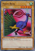 Yugioh! Pavo Real Srl-sp011