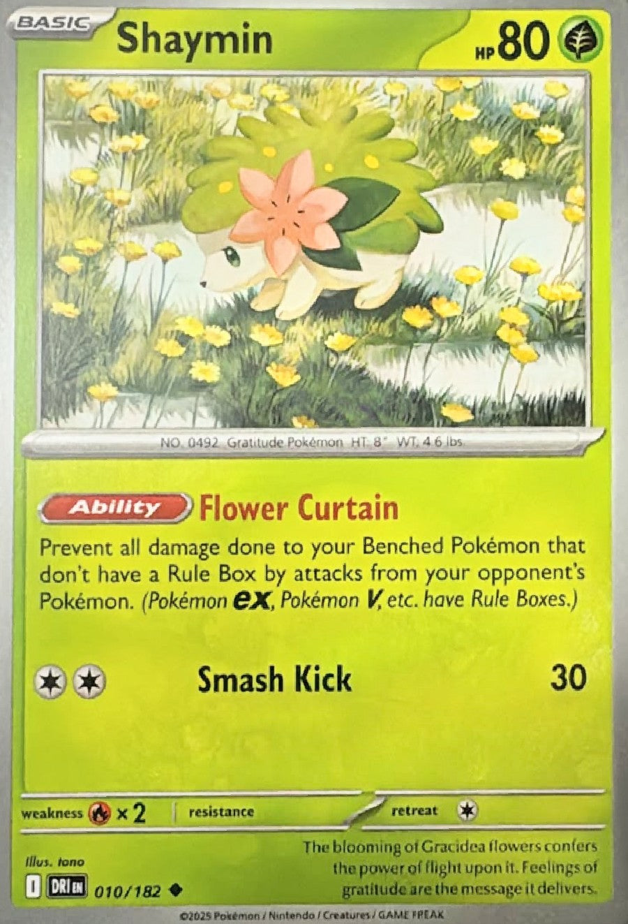Pokémon Tcg Shaymin 010/182
