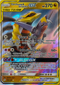 Pokémon tcg Garchomp & Giratina GX 146/236
