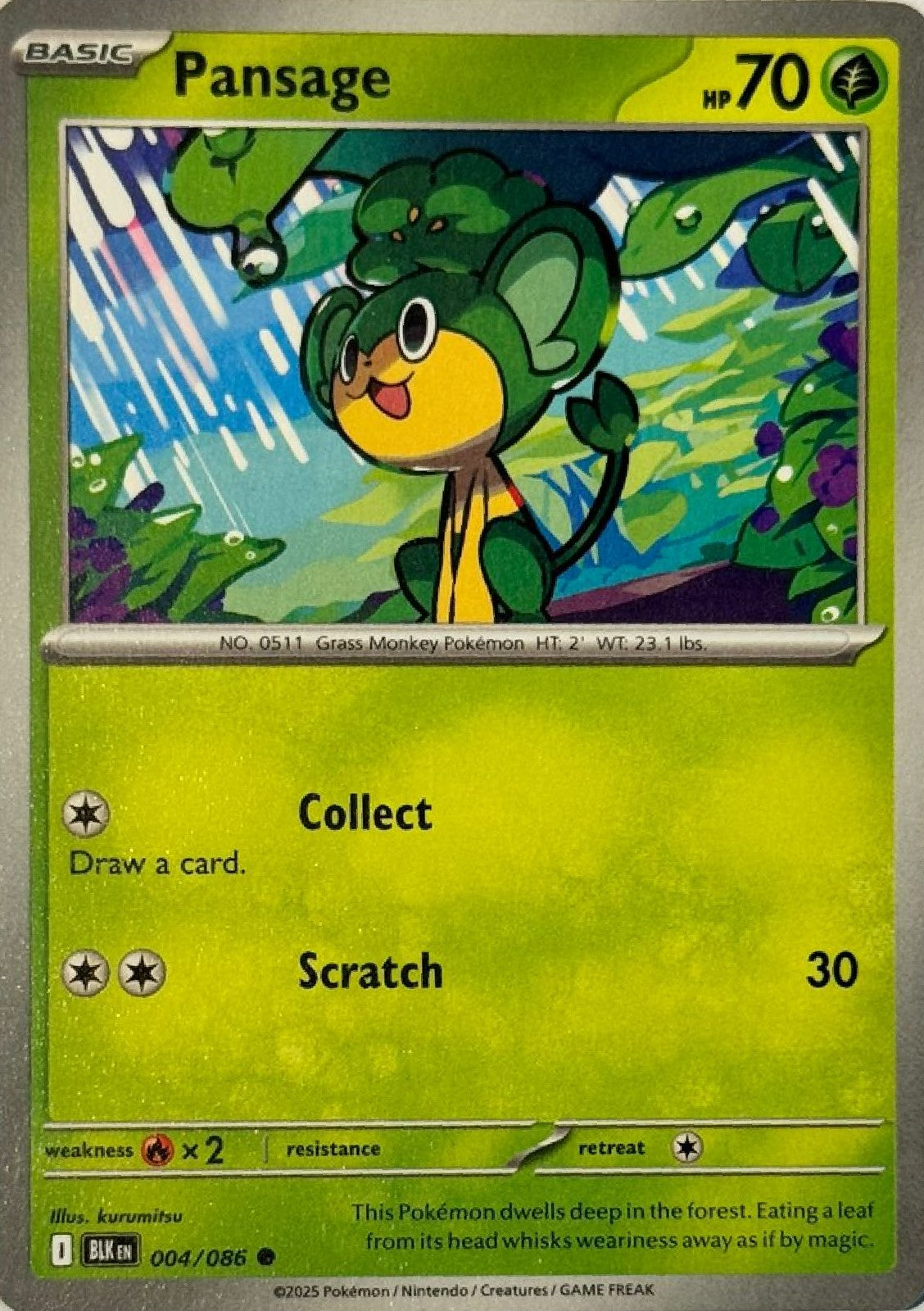 Pokemon Tcg Pansage 004/086