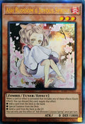 Yugioh! Ash Blossom & Joyous Spring Ra04-en025 1st edition Ultimate