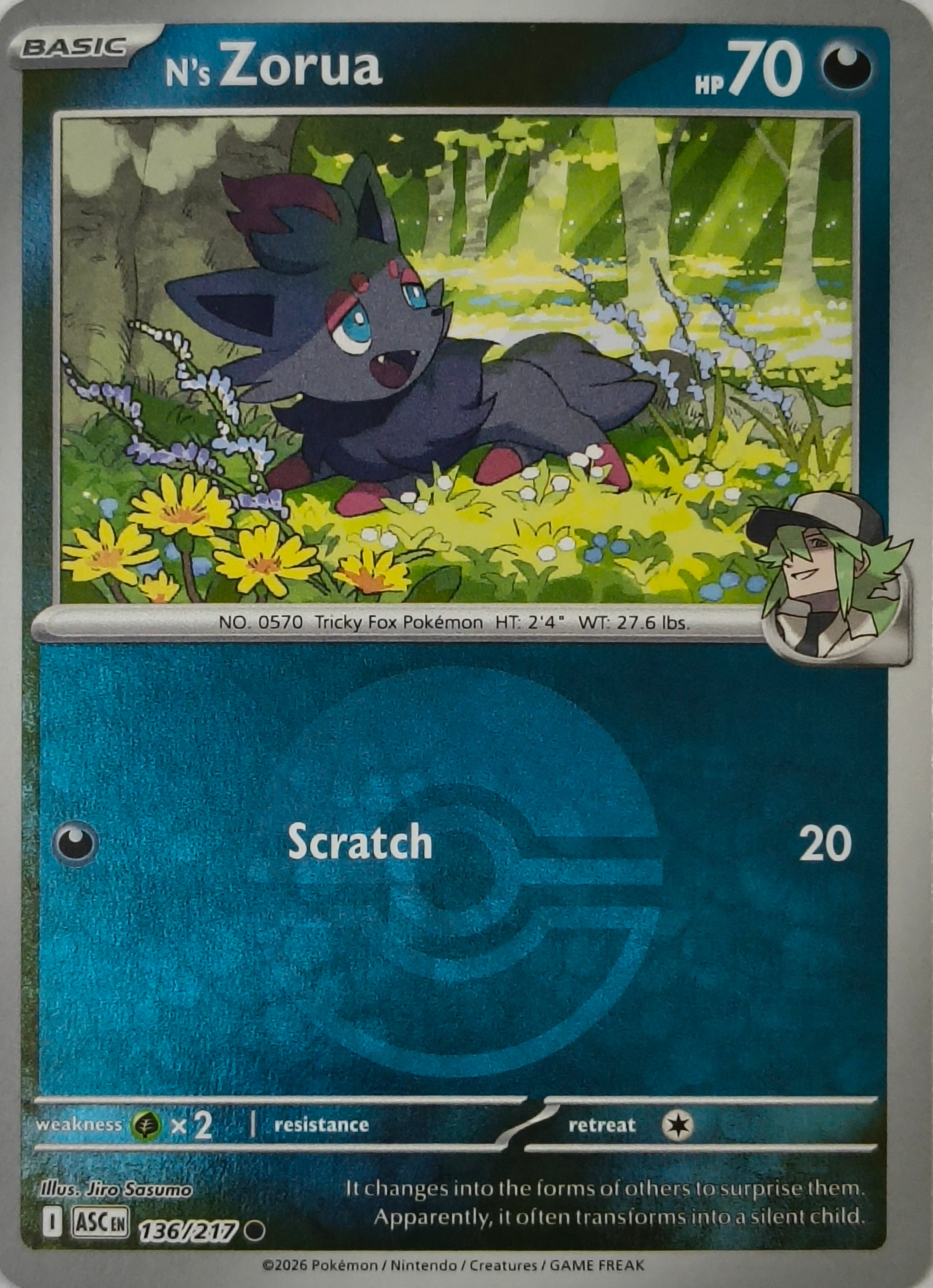 Pokémon tcg N's Zorua 136/217 (Poke Ball)