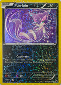 Pokémon tcg Poochyena Rc13/Rc25 Holo Foil