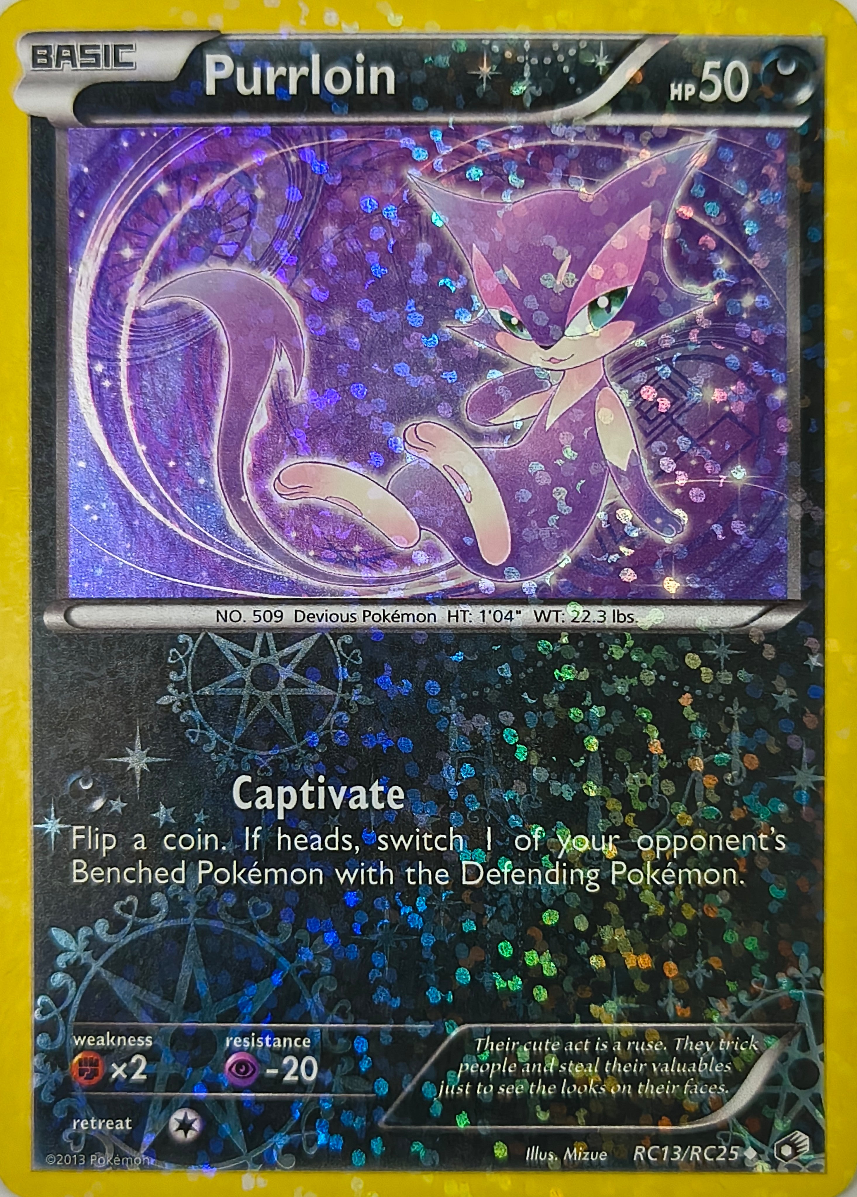 Pokémon tcg Poochyena Rc13/Rc25 Holo Foil