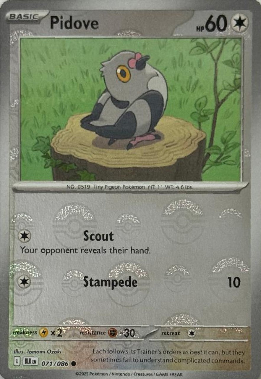 Pokémon Tcg Pidove 071/086 (Poke Ball)