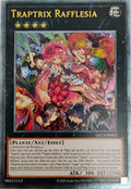 Yugioh! Traptrix Rafflesia Op13-Fr003 (Francés)