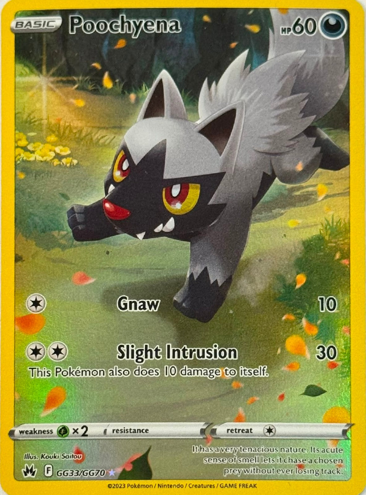 Pokémon Tcg Poochyena GG33/GG70