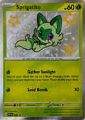 Pokémon tcg Sprigatito 076 Shiny Rare