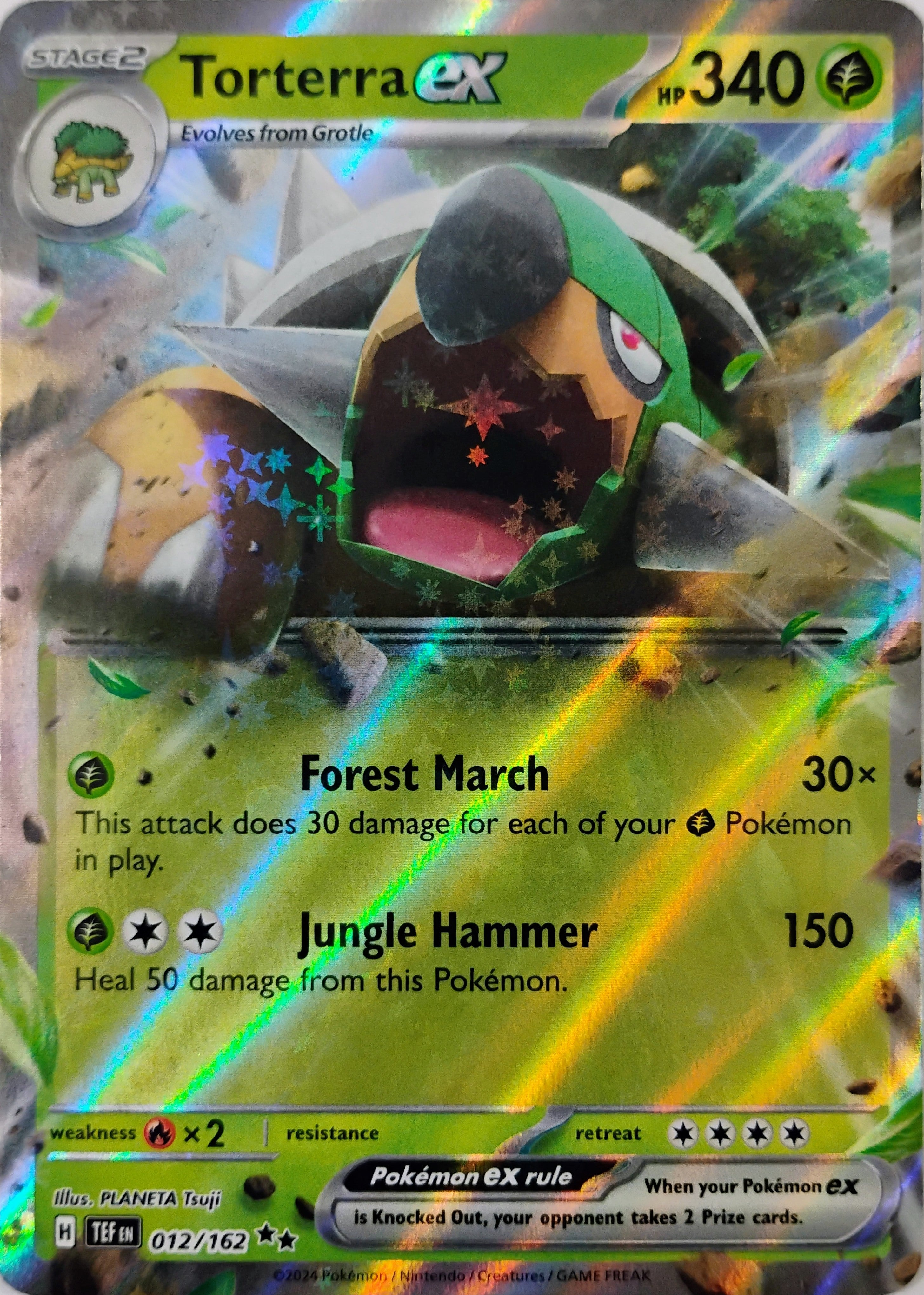 Pokémon tcg Torterra Ex 012/162