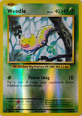Pokémon tcg Weedle 5/108 Reverse