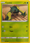 Pokémon tcg Cacnea 004/163 (Español)