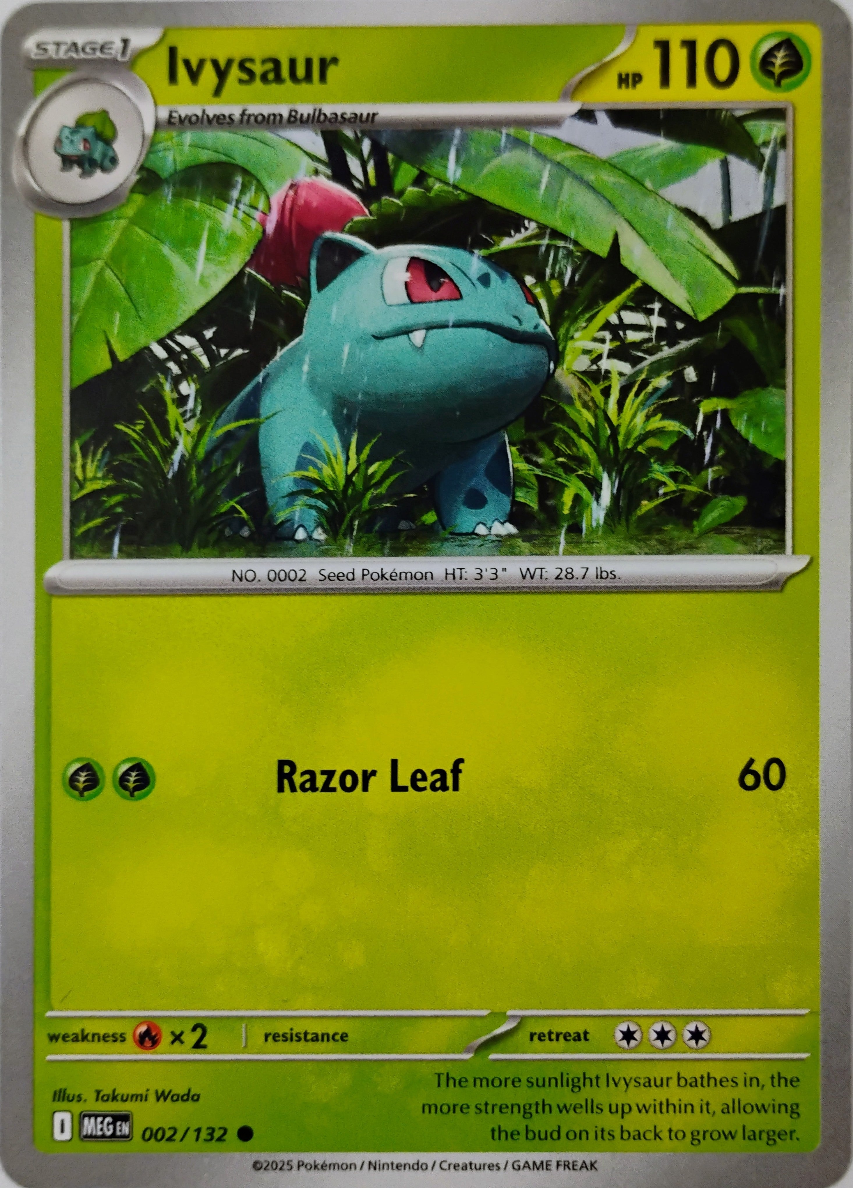 Pokémon tcg Ivysaur 002/132