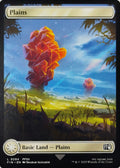 Magic tcg Plains 0294