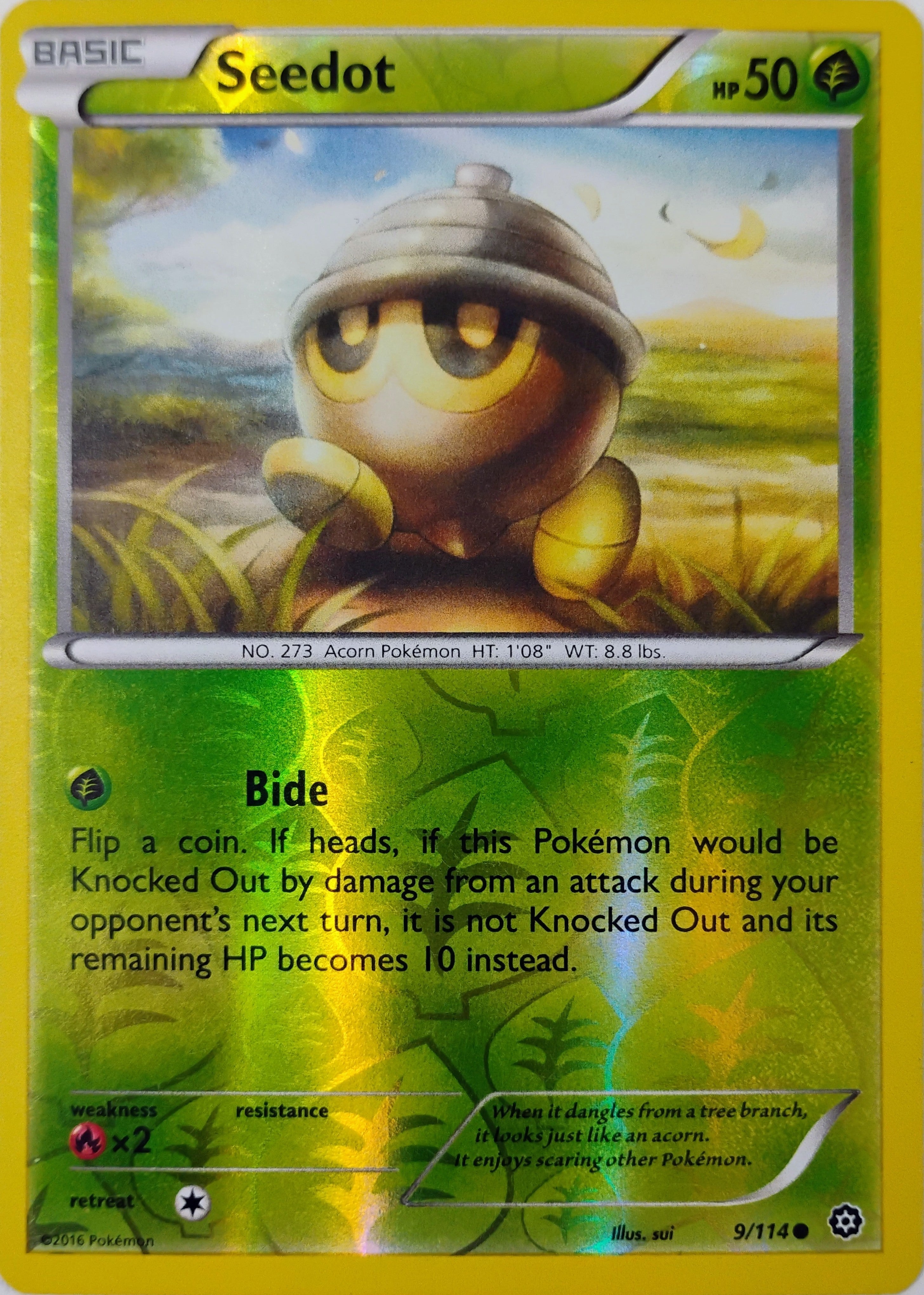 Pokémon tcg Seedot 9/114 Reverse