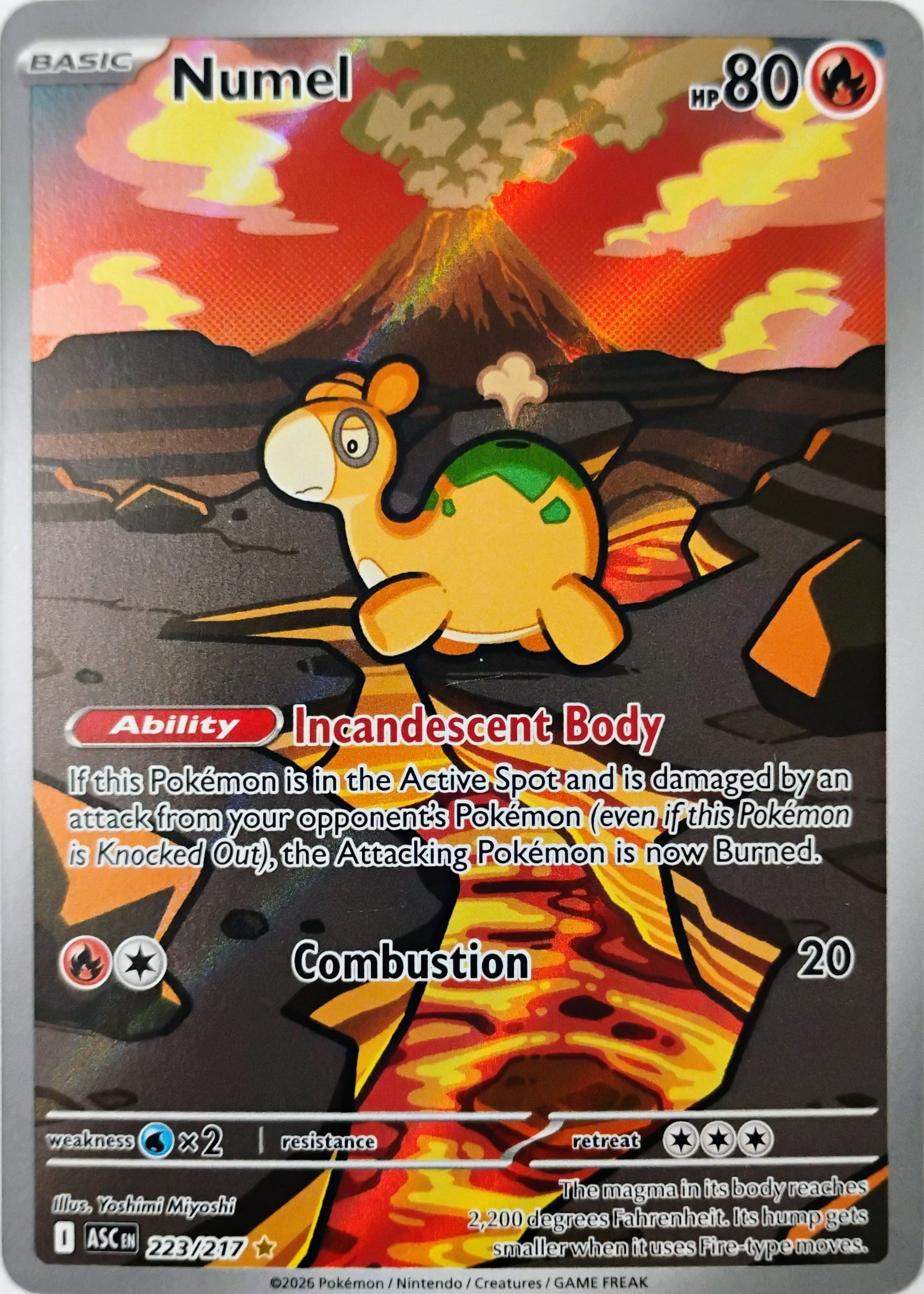 Pokémon tcg Numel 223/217