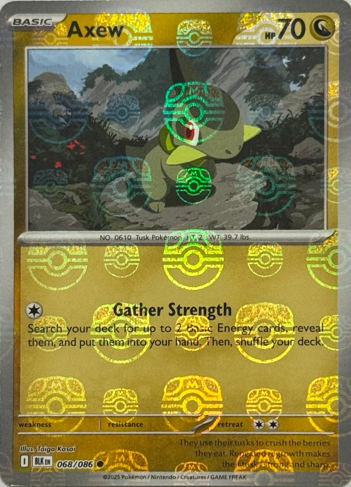 Pokémon Tcg Axew 068/086 (Master Ball)