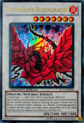 Yugioh! Schwarzer Rosendrache Ac11-De018 Limitierte Auflage (Alemán)