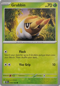 Pokémon Tcg Grubbin 018/162