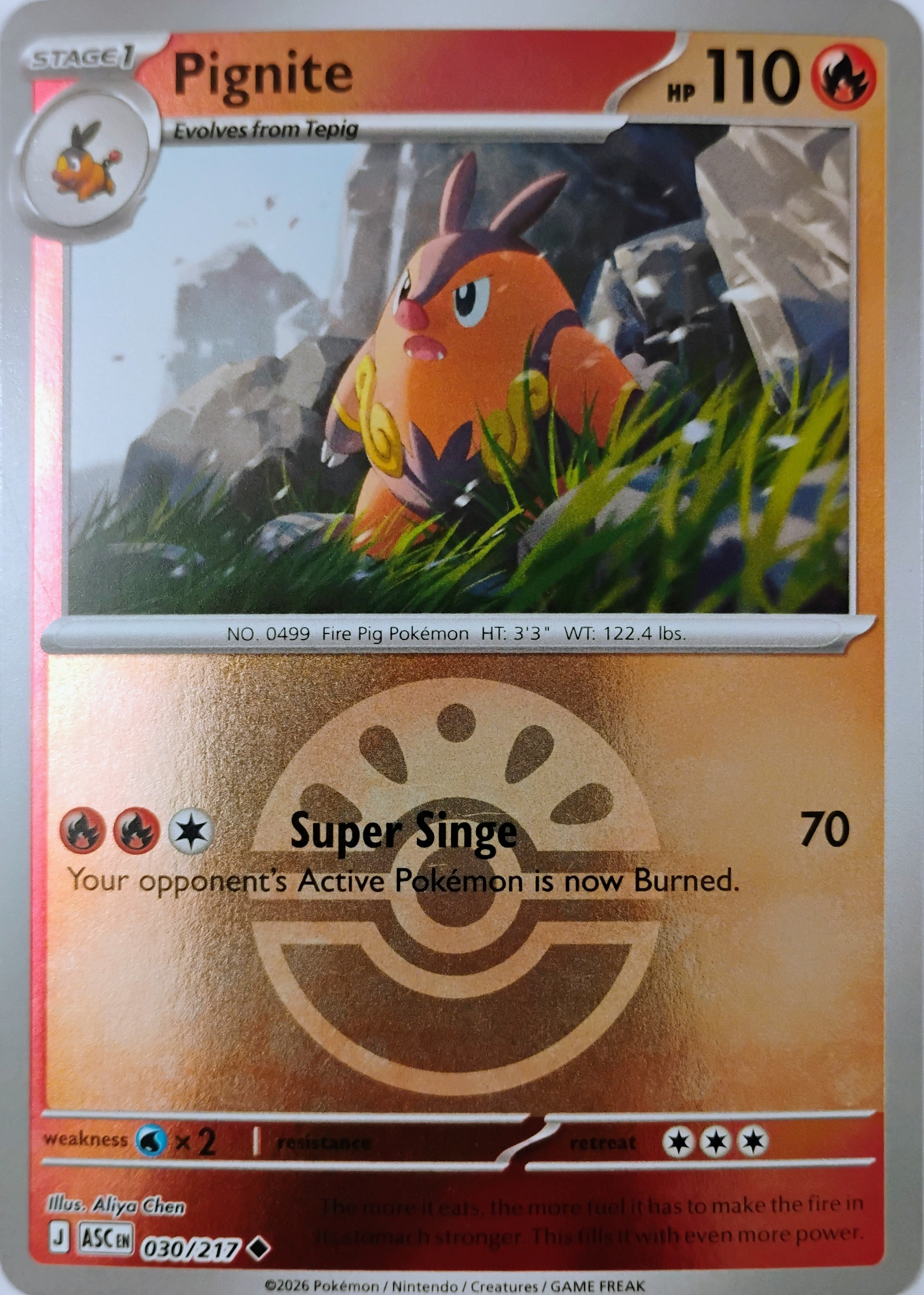 Pokémon tcg Pignite 030/217 (Friend Ball)